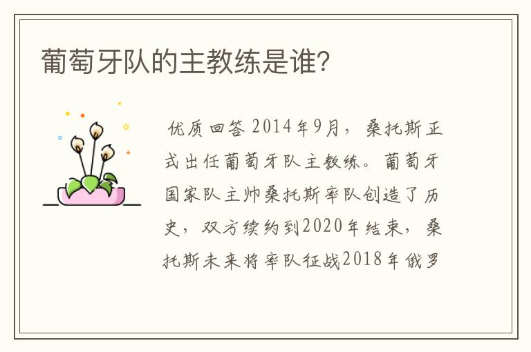 葡萄牙队的主教练是谁?