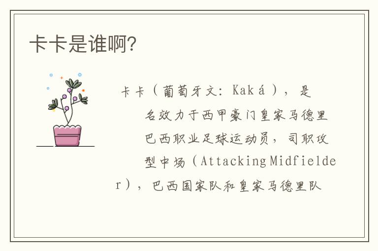 卡卡是谁啊?