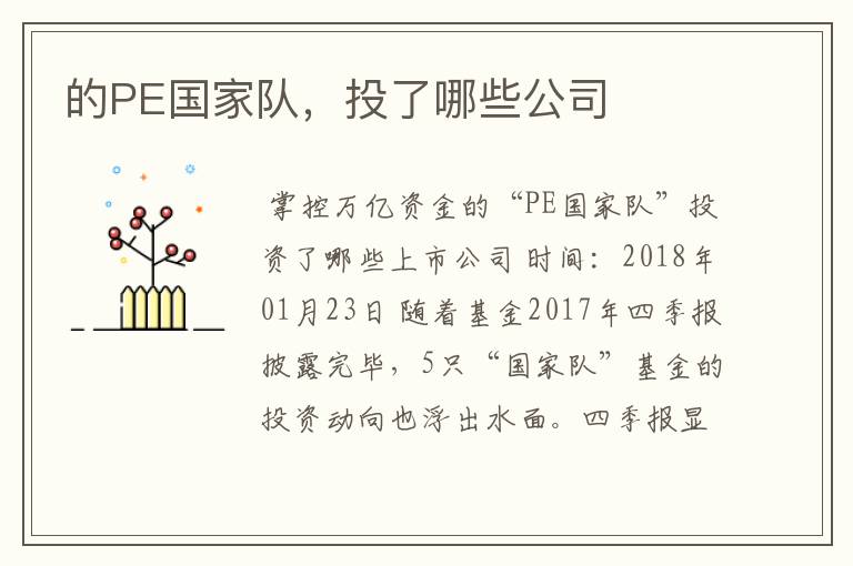 的PE国家队,投了哪些公司