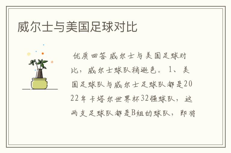威尔士与美国足球对比