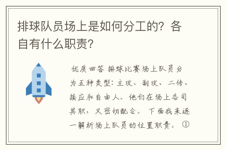 排球队员场上是如何分工的?各自有什么职责?