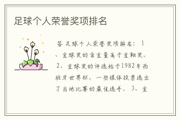 足球个人荣誉奖项排名