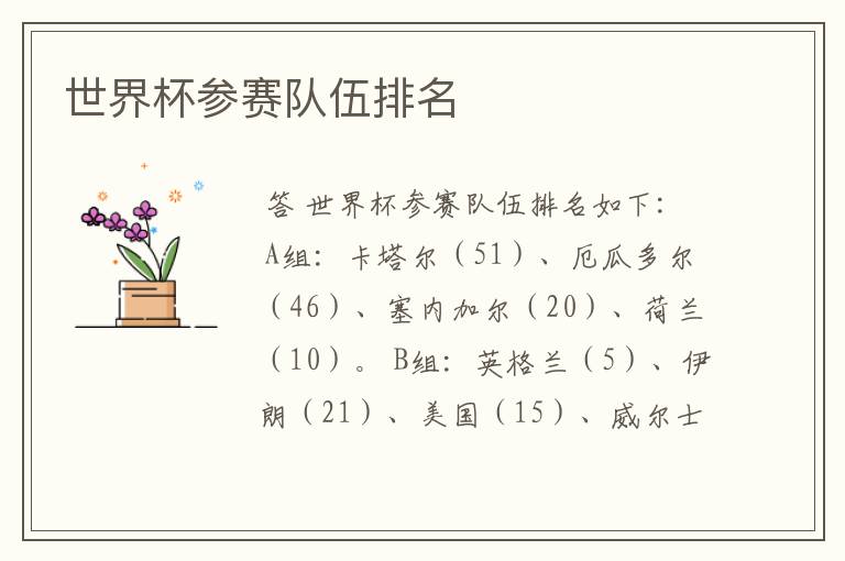 世界杯参赛队伍排名