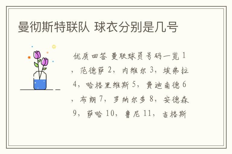 曼彻斯特联队 球衣分别是几号