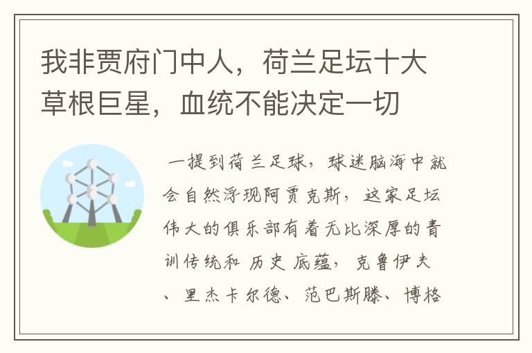 我非贾府门中人,荷兰足坛十大草根巨星,血统不能决定一切