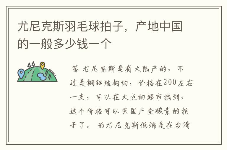 尤尼克斯羽毛球拍子,产地中国的一般多少钱一个