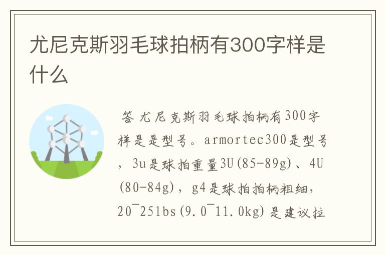 尤尼克斯羽毛球拍柄有300字样是什么