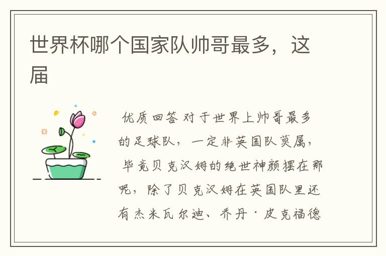 世界杯哪个国家队帅哥最多，这届