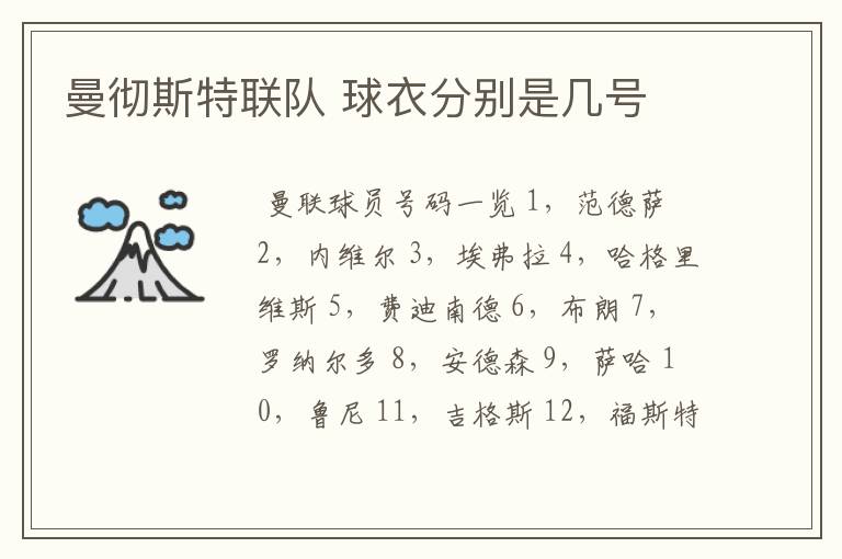 曼彻斯特联队 球衣分别是几号