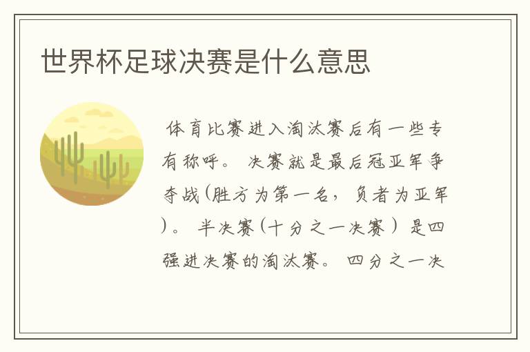 世界杯足球决赛是什么意思