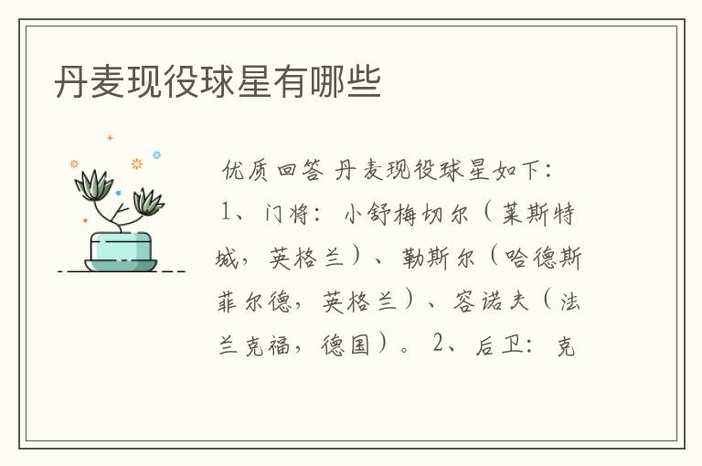 丹麦现役球星有哪些