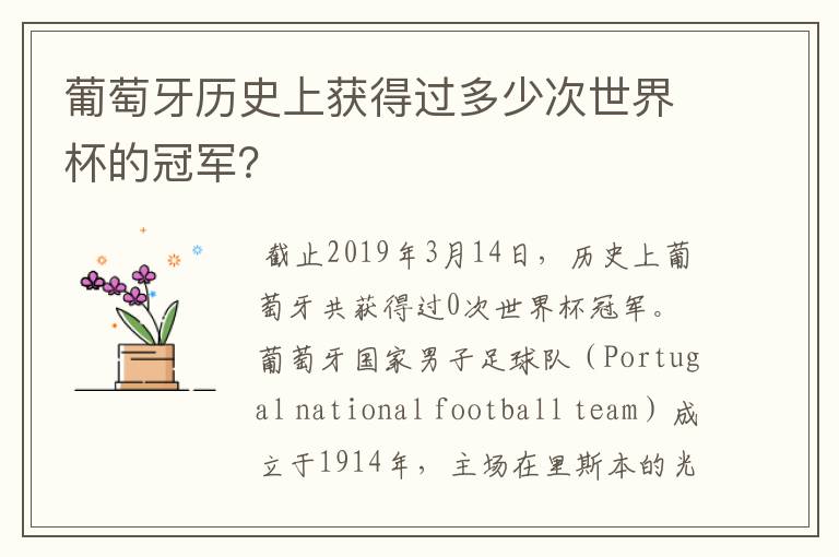 葡萄牙历史上获得过多少次世界杯的冠军？