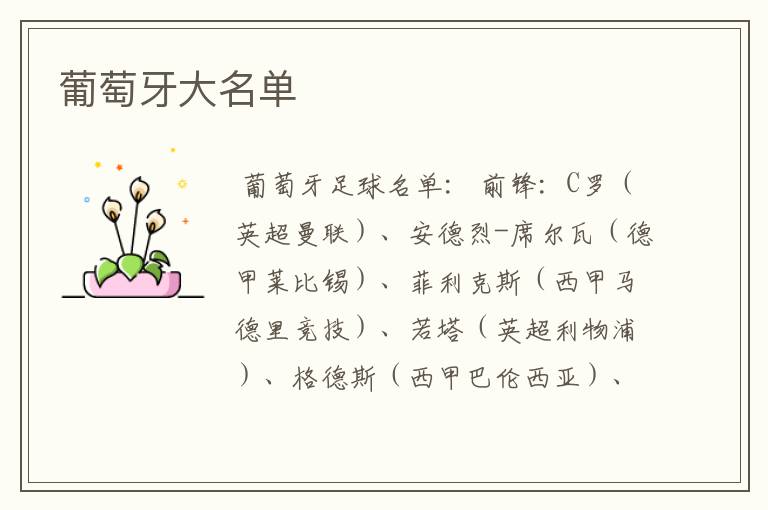 葡萄牙大名单