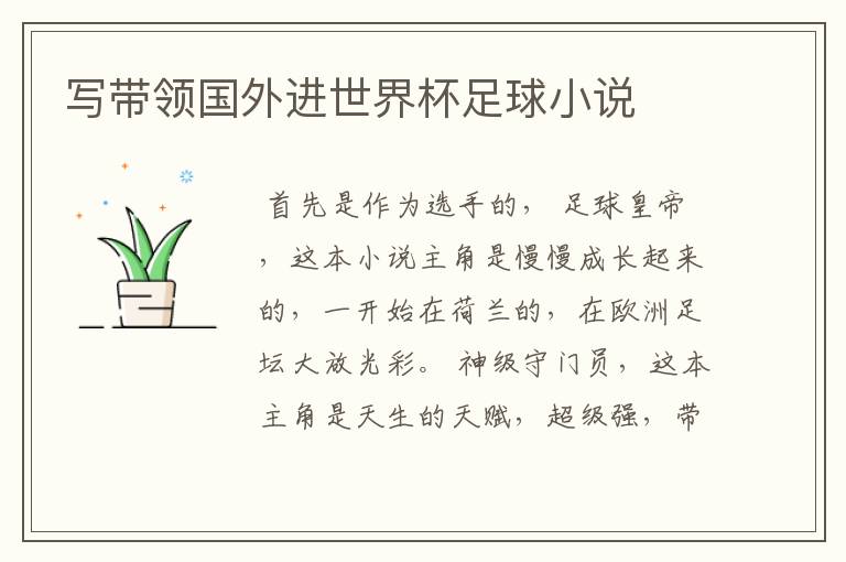 写带领国外进世界杯足球小说