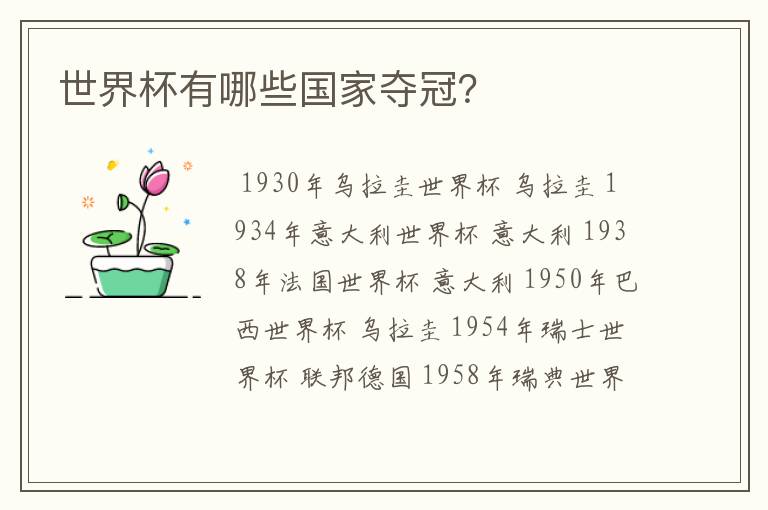 世界杯有哪些国家夺冠?