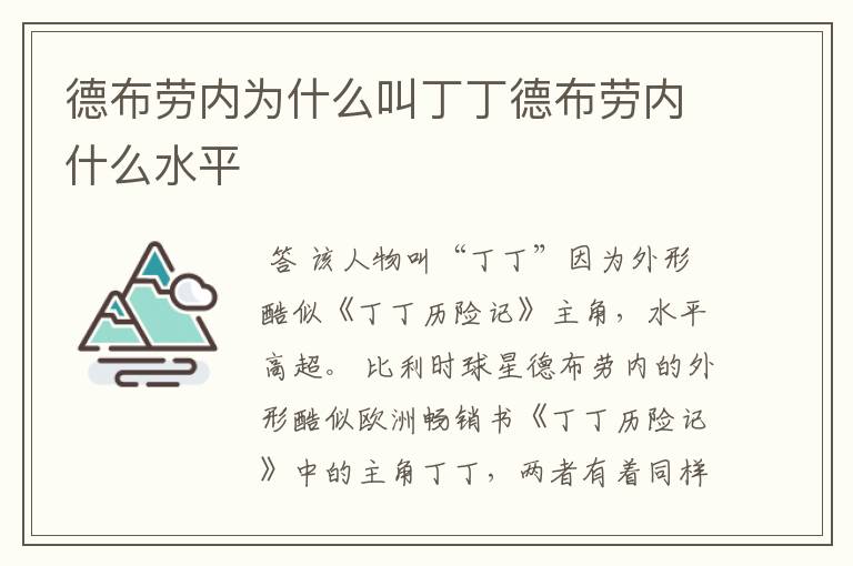 德布劳内为什么叫丁丁德布劳内什么水平