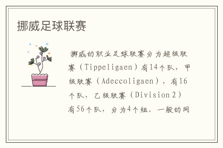 挪威足球联赛