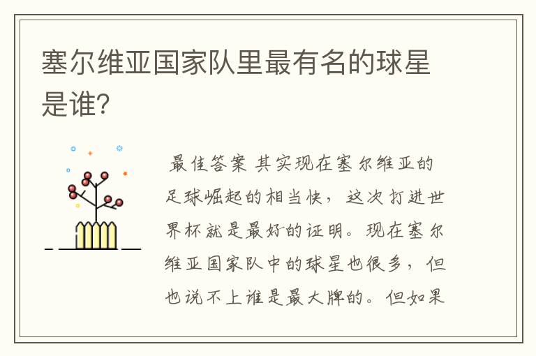塞尔维亚国家队里最有名的球星是谁?
