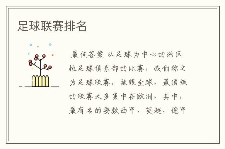 足球联赛排名