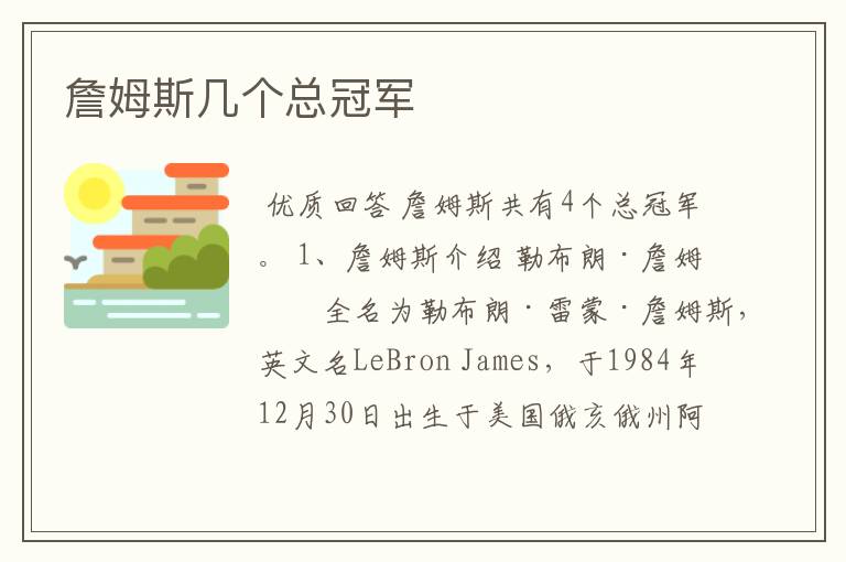 詹姆斯几个总冠军