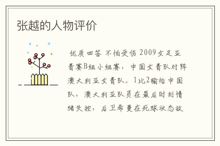 张越的人物评价