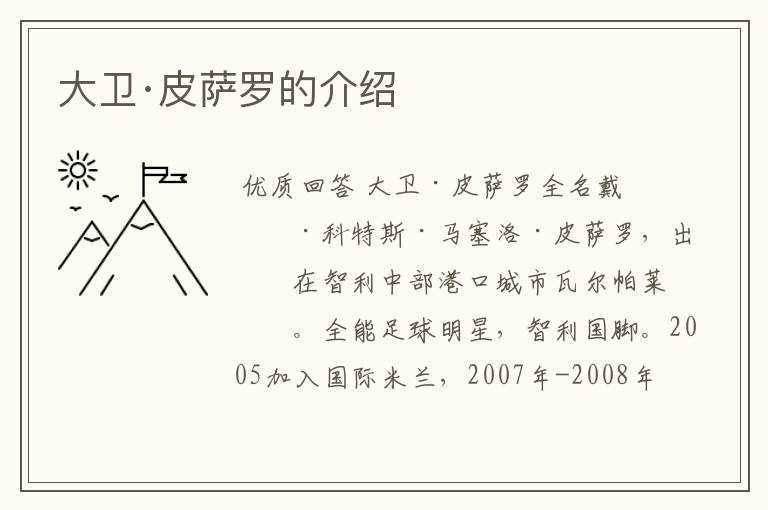 大卫·皮萨罗的介绍