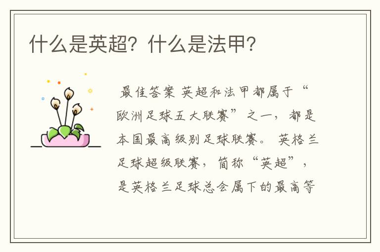 什么是英超?什么是法甲?