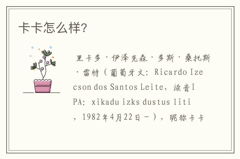 卡卡怎么样?