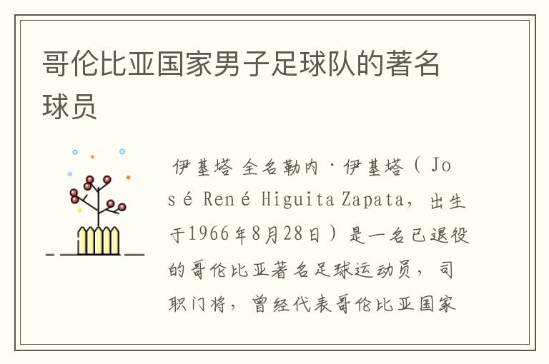 哥伦比亚国家男子足球队的著名球员