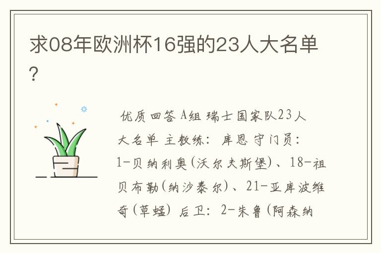 求08年欧洲杯16强的23人大名单?