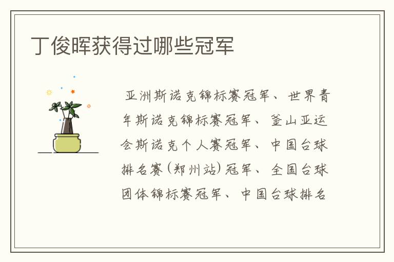 丁俊晖获得过哪些冠军