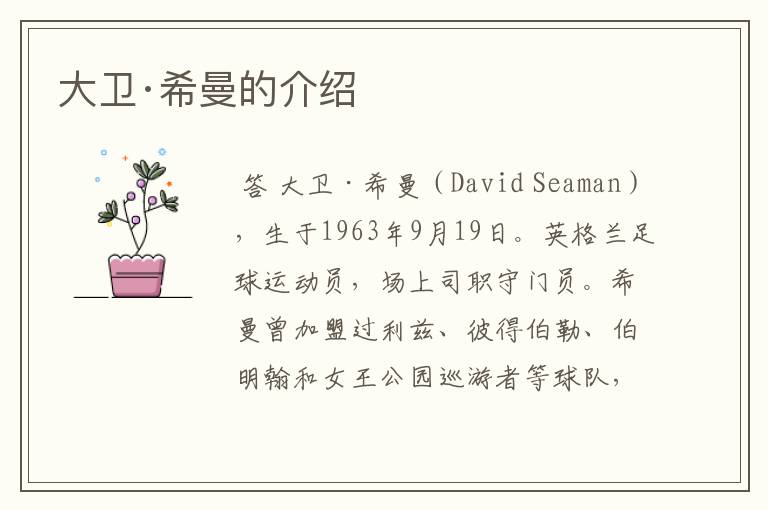 大卫·希曼的介绍