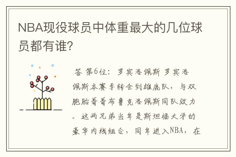 NBA现役球员中体重最大的几位球员都有谁?