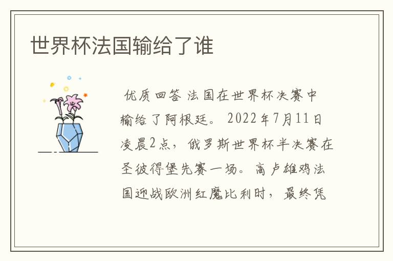 世界杯法国输给了谁