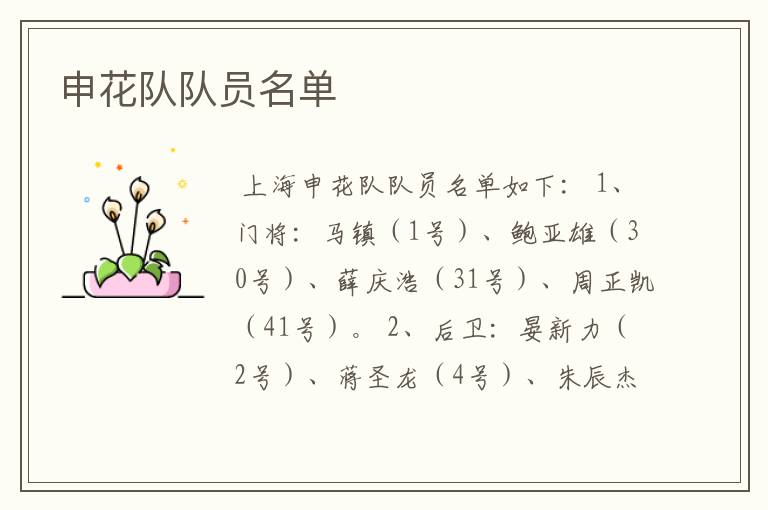 申花队队员名单
