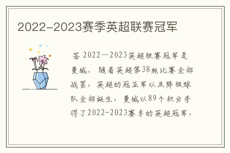 2022-2023赛季英超联赛冠军