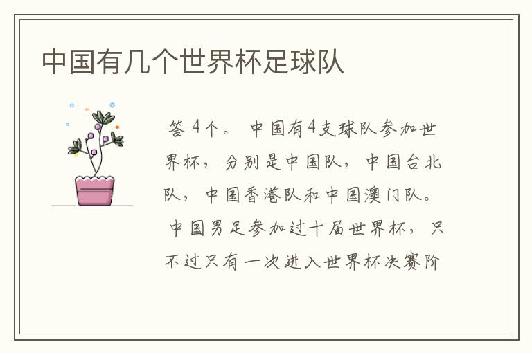 中国有几个世界杯足球队
