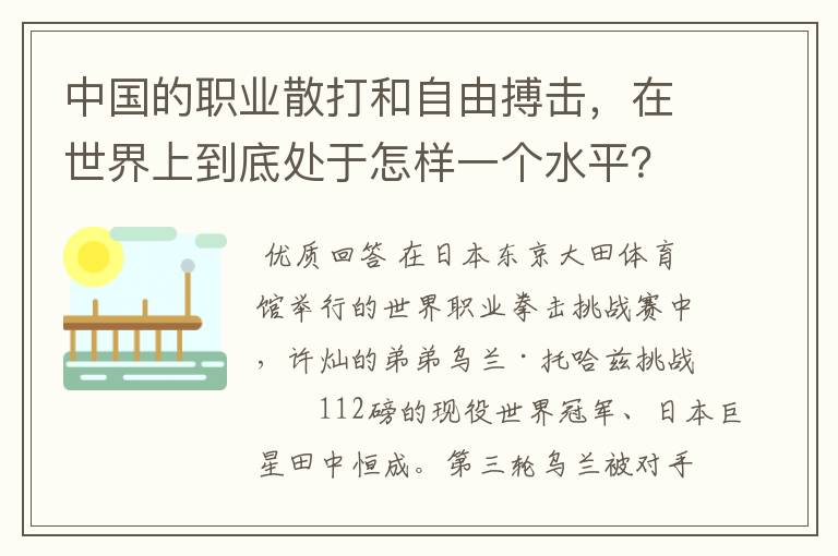 中国的职业散打和自由搏击,在世界上到底处于怎样一个水平?