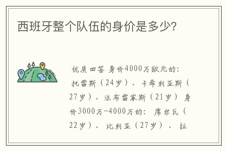 西班牙整个队伍的身价是多少?