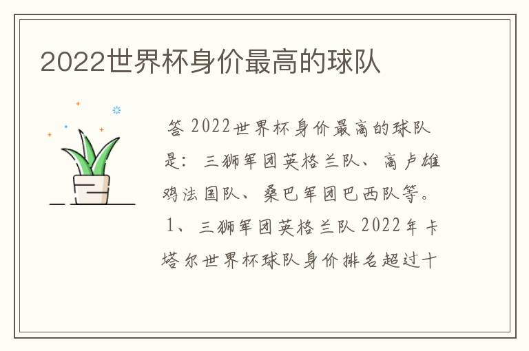 2022世界杯身价最高的球队