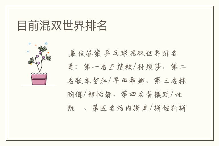 目前混双世界排名