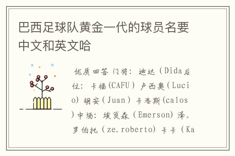 巴西足球队黄金一代的球员名要中文和英文哈