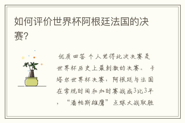 如何评价世界杯阿根廷法国的决赛?