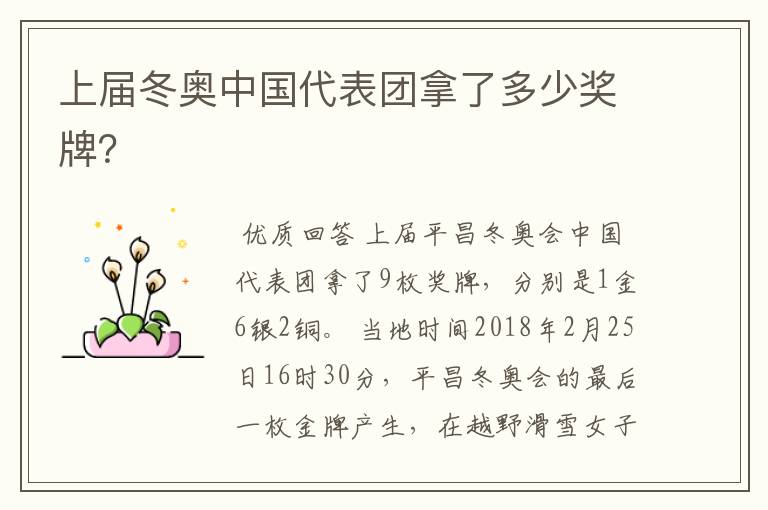 上届冬奥中国代表团拿了多少奖牌?