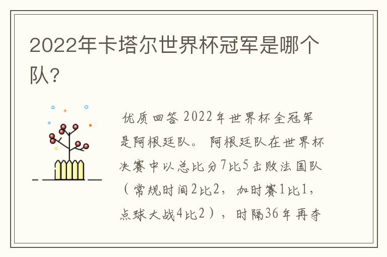2022年卡塔尔世界杯冠军是哪个队?