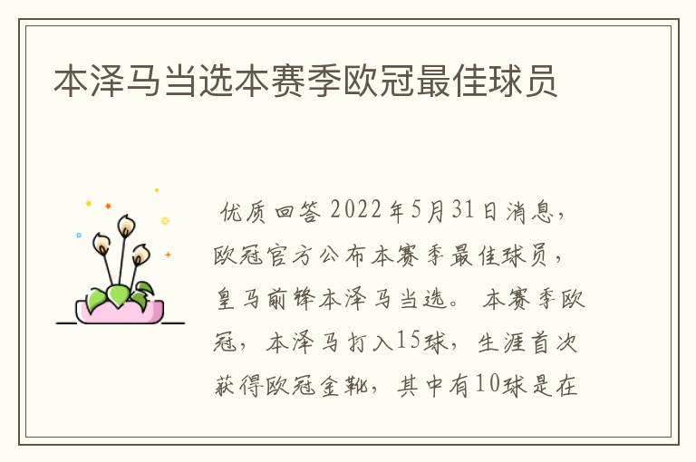 本泽马当选本赛季欧冠最佳球员