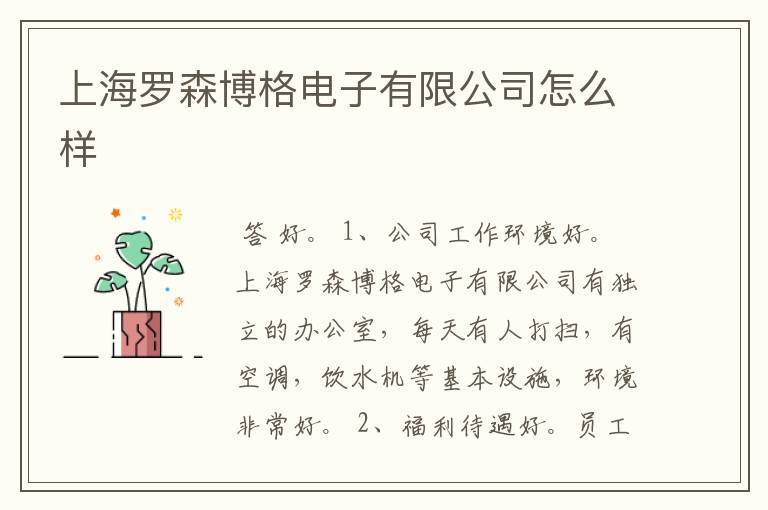 上海罗森博格电子有限公司怎么样