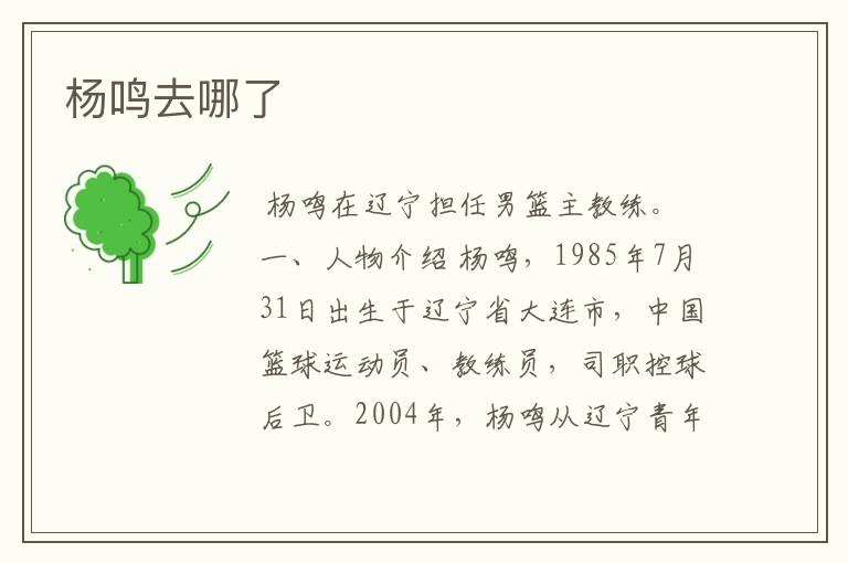 杨鸣去哪了
