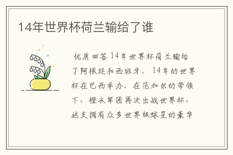 14年世界杯荷兰输给了谁