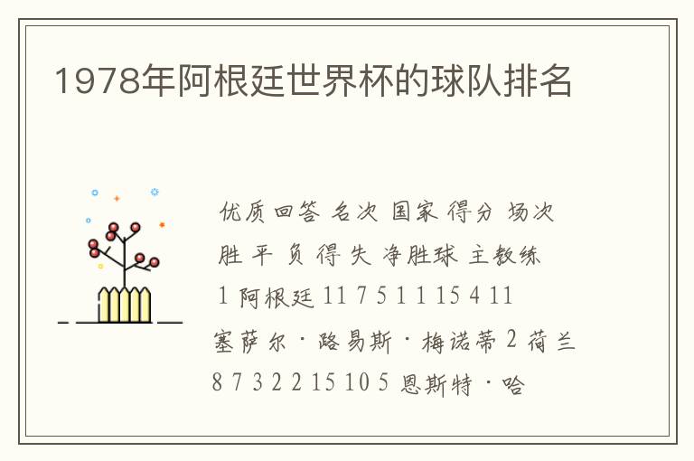 1978年阿根廷世界杯的球队排名